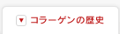 コラーゲンの歴史